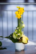bloemen en planten vvbvanbree     1132